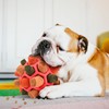 Sniffing Ball for Dogs, Sniffing Carpet Sniffing Toy, Interactive Dog