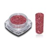 Hologram Glitter Powder Pink Holo Nail Art Nail Design Pack