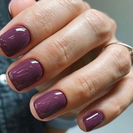 Ceboic Press on Nails Short, Purple French Tip False Nails, Square Glossy Acrylic Fake Nails, Natural Solid Color Full Cover Reusable Stick on Nails for Women Girls Daily Wear Manicure 24Pcs