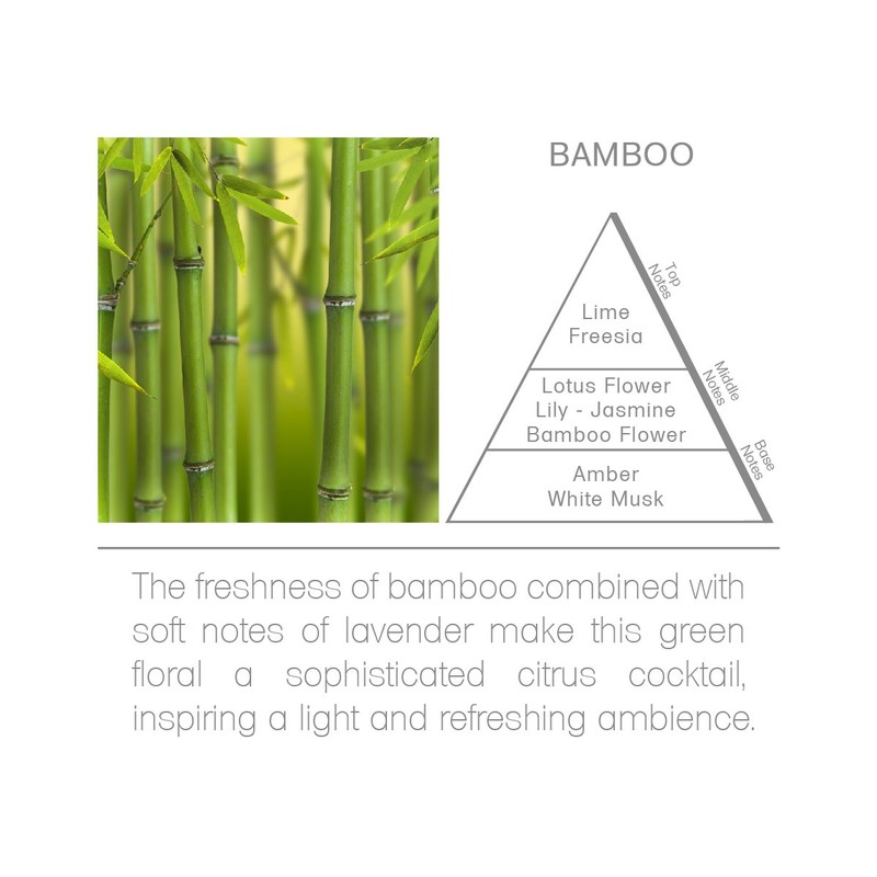 Acqua Aroma Bamboo Reed Diffuser Oil Refill 6.8 FL OZ