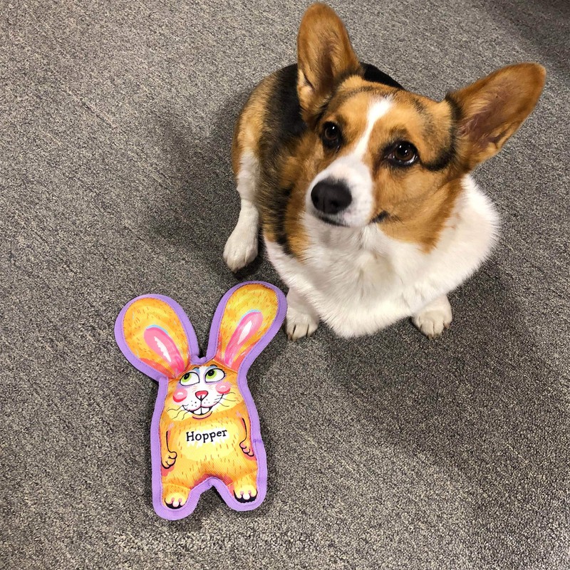 FUZZU Durable Dog Toy with Squeaker - Floppy Tough Chew