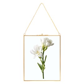 ZOFUN Copper Picture Frame, 25 x 20 cm, Hanging Glass Picture Frame, Brass Hanging Floating Glass Photo Frame, Gold Geometric Ornament, Plant Sample Clip