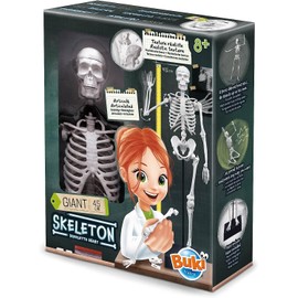 Buki France - Skeleton - 45cm