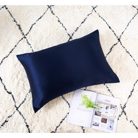 Ethlomoer 1 x 100% Natural Pure Silk Pillow Case for Hair and Skin 19 Momme Double Sided 600 Thread Count Hidden Zipper Design