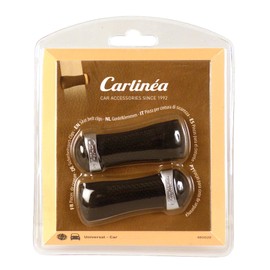 Carlinea 485020 3676