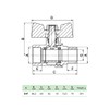 zencQ Ball Valve with Screw Connection 3/4 Inch MF, PN40