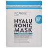 Incarose Hyaluronic Mask Super Hydrating Single Use Mask 17ml