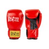 BenLee Leather Boxing Gloves Fighter