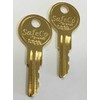 SafeCo Brands DMP Fire Pull Station Reset Keys SC10 2-