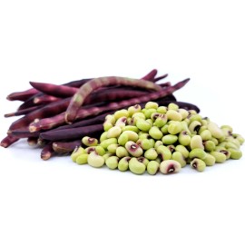 Sunshine Seeds Pink Eye Purple Hull Cowpea Seeds (25) / HEAT TOLERANT / FLORIDA GROWN / ORGANIC