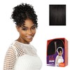 Sensationnel Lulu Bun Updo Hairextensions - Unit 4 Synthetic 3x3.5