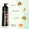KAISASA Dark Brown Hair Dye Shampoo 3 in 1Argan Herbal