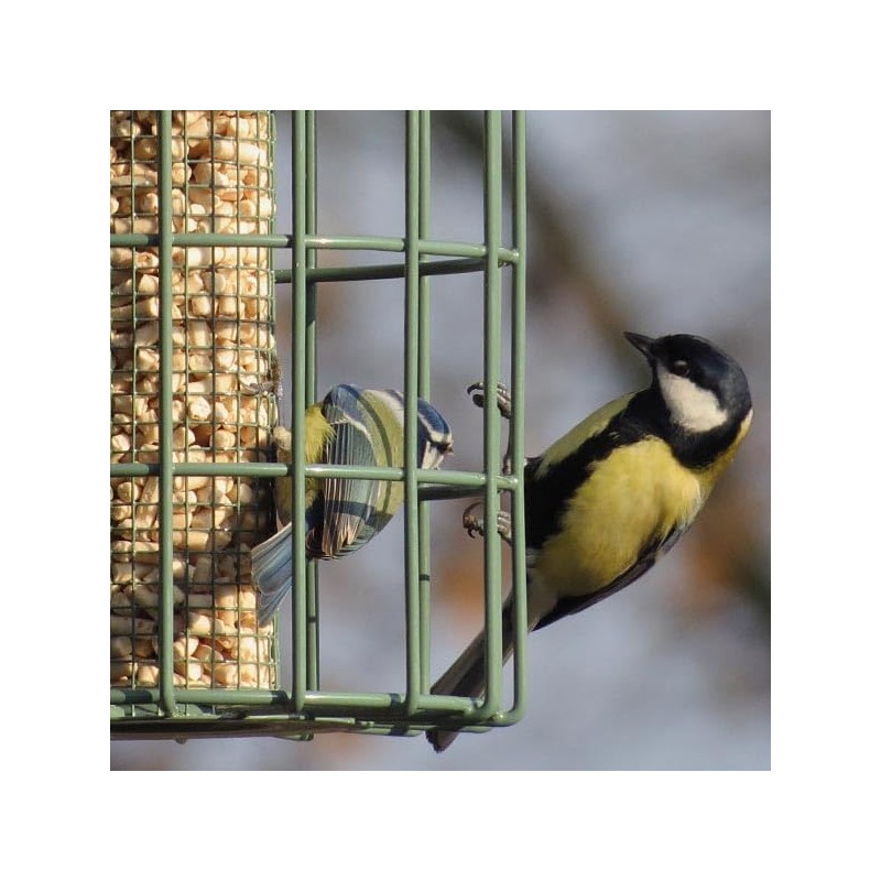 The Nuttery ORGN03 Original Nut Squirrel Proof Bird Feeder, Ocean