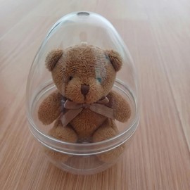 Transparent Egg Capsule Storage Case 10 pieces 2ea