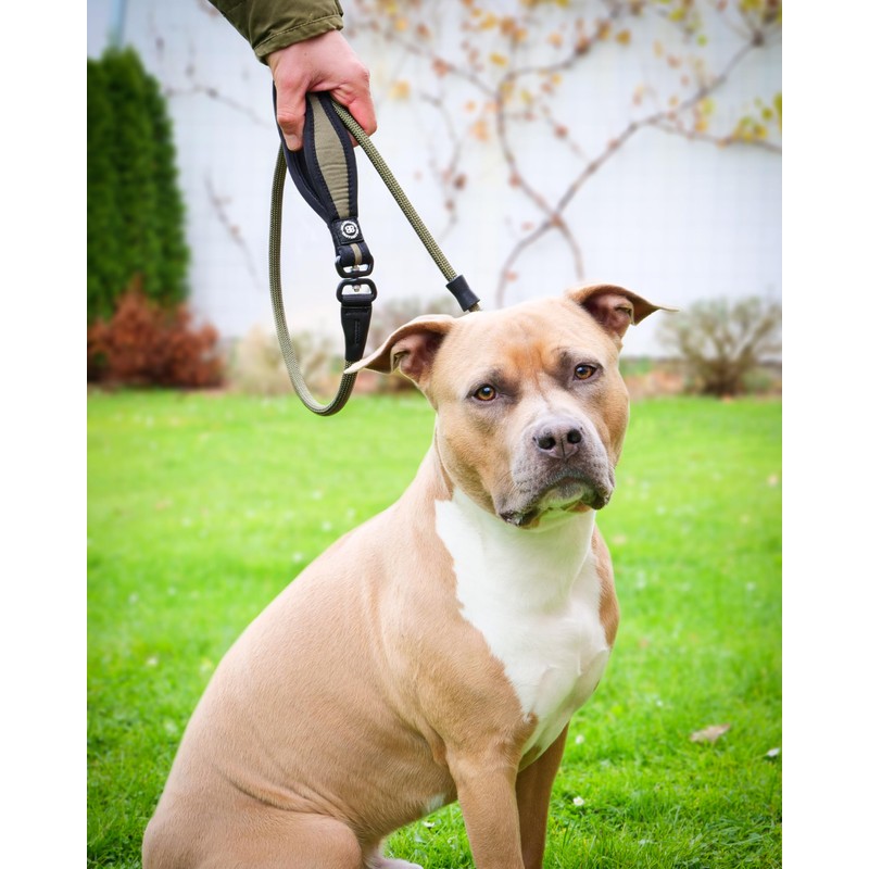 BullyBillows Anti-Pull Anti-Choking Training Dog Lead | 1.4m Active Light