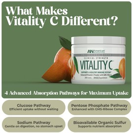 American Nutriceuticals - Vitamin C Powder - Supplement for Immune Support - Natural, Sugar Free -Non-Acidic - 4000mg