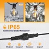 cshare Extension Cords for String Lights Inflatable Decorations, 2 Pin