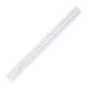 Lion Office Equipment Pick-up Ruler Scale 11.8 inches (30 cm)