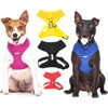 Dexil Elite Range Luxury Padded Handle Strong 1.2m 4ft Pet