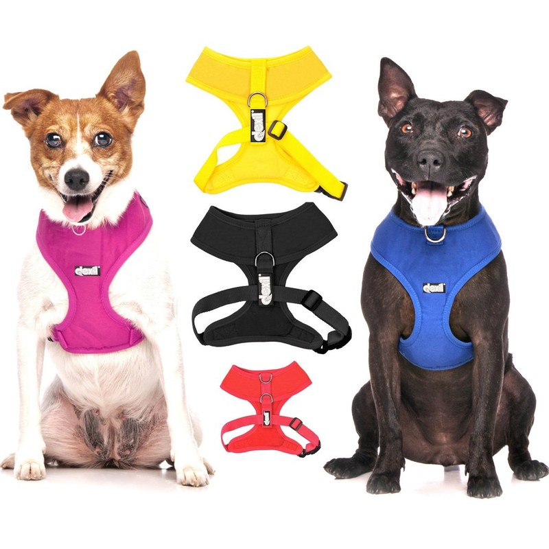 Dexil Elite Range Luxury Padded Handle Strong 1.2m 4ft Pet