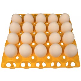 Rite Farm Products 24 RITE FARM PRODUCTS 20 EGG PLASTIC TRAYS FOR DUCK GOOSE TURKEY PEAFOWL CARTON