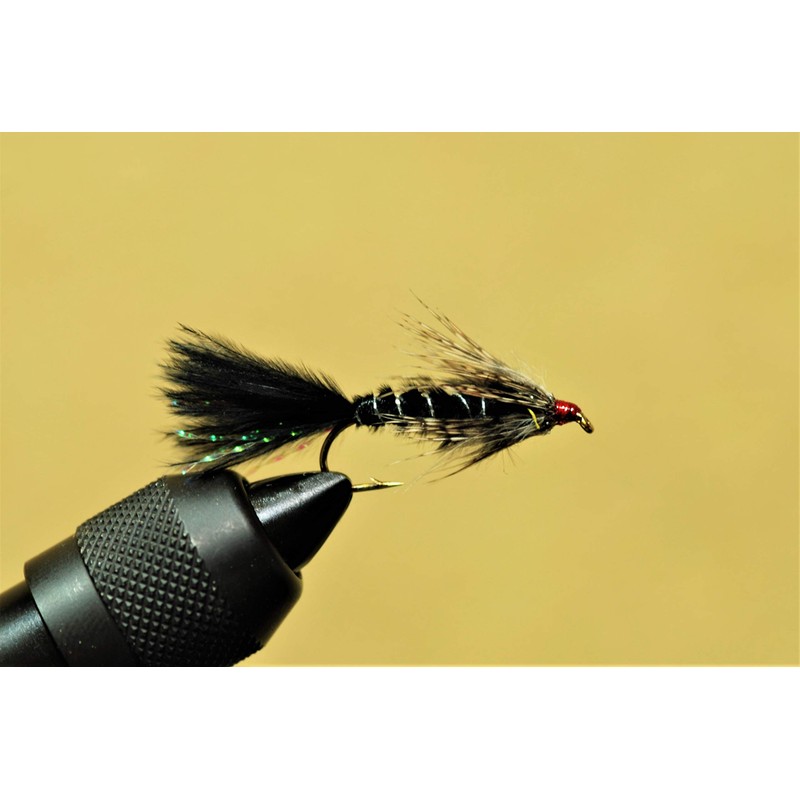Fly Shop Complete Fly Set SD Selection Management Fishing Ground