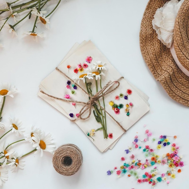 520 Mini Pressed Dried Flowers for Resin Crafts with 5