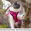Mr. Peanut's PurrTrek Reflective Cat Harness with Matching Leash (Small,