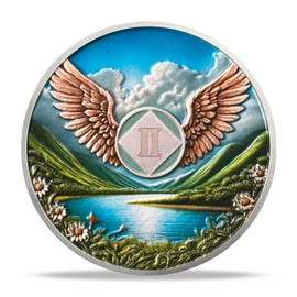 2 Year Sobriety Coin - Flying NA Medallions | Narcotics Anonymousa AA Chips and Medallions | Addiction Recovery Gifts for Celebrating Recovery Anniversary Milestones | Sobriety Gifts for Women & Men