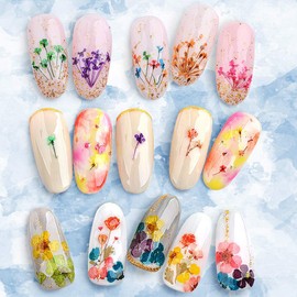 3 Boxes Dried Flowers for Nail Art, KISSBUTY 36 Colors Dry Flowers Mini Real Natural Flowers Nail Art Supplies 3D Applique Nail Decoration Sticker for Tips Manicure Decor (Flowers Gypsophila Daisy)