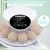 Egg Incubator for Hatching Chicks, Holds 12 Eggs, Automatic Egg
