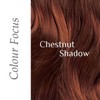 Desert Shadow Organic Hair Dye, Deep Red Shadow 100g
