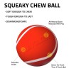 Pelota Masticable Playology Squeaky Para Perros Pequeos De