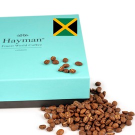 Hayman Coffee, 100% Blue Mountain Coffee From Jamaica, Whole Bean Coffee Medium Roast, Fresh Coffee Beans, 12 Ounces/340 grams (Pack of 1)