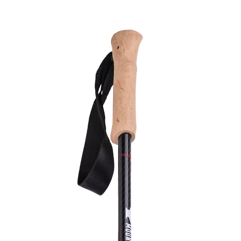 Mountainsmith Andesite Trekking Pole Pair - Carbon