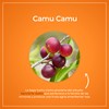 VIZANA NUTRITION | Vitamina C en Cápsulas HPMC Vegetarianas (90