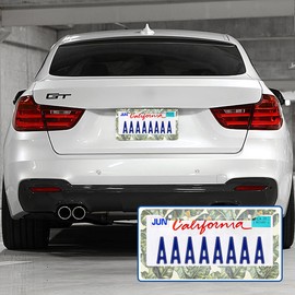 Swono Tropical Palm Leaves License Plate Frame Banana Jungle Leaf Seamless Floral License Plate Cover Aluminum Metal License Plate Holder Frame for Women Men Auto Decoration for US Car/Truck