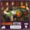 Exploding Kittens PCRAPS-1K-6 Cat Puzzle, Multi