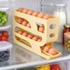 Automatic Egg Roller Storage Box for Refrigerator Organization – Space-Saving