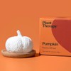 Plant Therapy Plant Therapy Pumpkin Passive Diffuser for Fall, Porous,