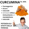 Turmeric Curcumin and Piperine Plus - Natural Anti-inflammatory and Antioxidant