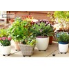 AlpineReach Extra Heavy Duty Pot Feet Risers 12 Pack Hexagons