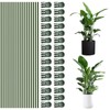 50Pcs Plant Stake Clip Set Green, Plant Sticks Supplies Support