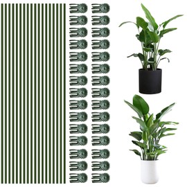 50Pcs Plant Stake Clip Set Green, Plant Sticks Supplies Support Tall, Useful Support Clips, Fine Workmanship Allow Bending Suitable for Various Plant Pots Indoors and Outdoors
