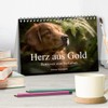 Herz aus Gold - Retriever zum Verlieben (Tischkalender 2026 DIN