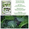 Hardy & Nutritious Greens Variety 8-Pack Home Garden Starter Kit