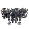 Street Sport Industries Valve Springs & 3K/4K Governor Springs "94-98"
