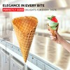 ALDKitchen Waffle Cone Maker | Nonstick Coating (1-Head)
