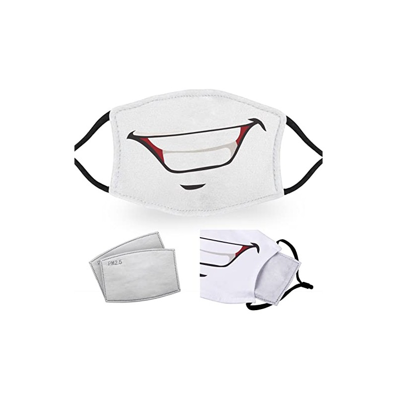 Handsome Smile - Reusable Adult Face Masks - 2 Filters