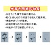 Akashiya Water Calligraphy Set with Thick Brush Included AZ-140MF